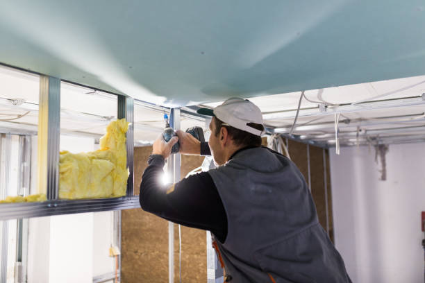 Best Basement Insulation  in Howe, TX