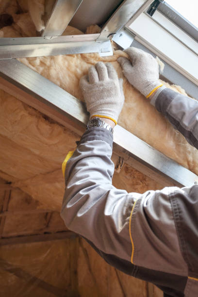 Best Insulation Air Sealing  in Howe, TX