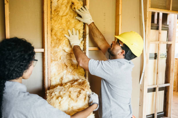 Types of Insulation We Offer in Howe, TX