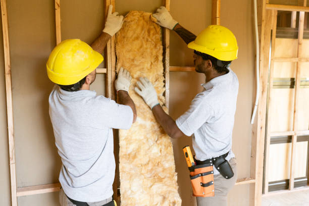 Best Insulation Air Sealing  in Howe, TX