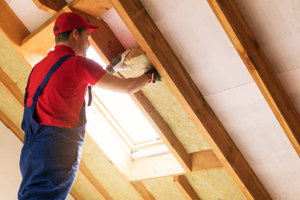 Best Eco-Friendly or Green Insulation Solutions  in Howe, TX